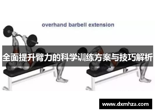 全面提升臂力的科学训练方案与技巧解析