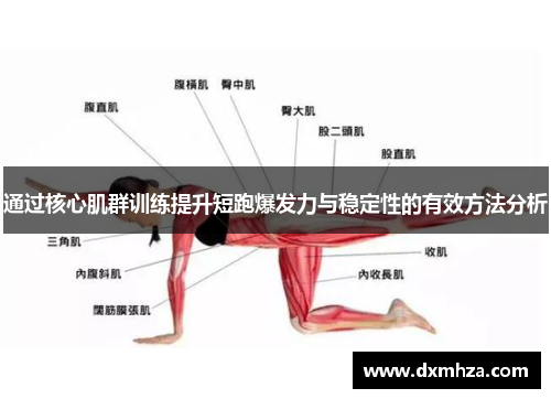 通过核心肌群训练提升短跑爆发力与稳定性的有效方法分析