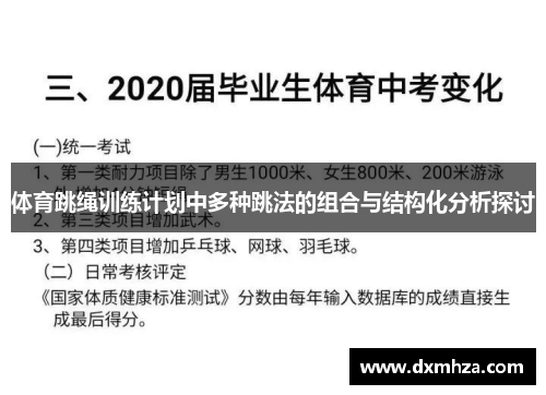 体育跳绳训练计划中多种跳法的组合与结构化分析探讨