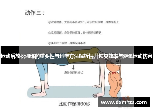 运动后放松训练的重要性与科学方法解析提升恢复效率与避免运动伤害