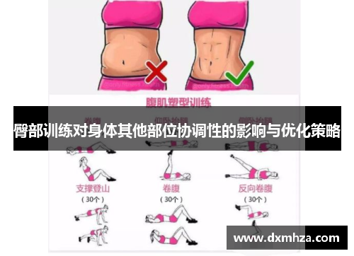臀部训练对身体其他部位协调性的影响与优化策略