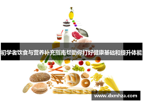 初学者饮食与营养补充指南帮助你打好健康基础和提升体能
