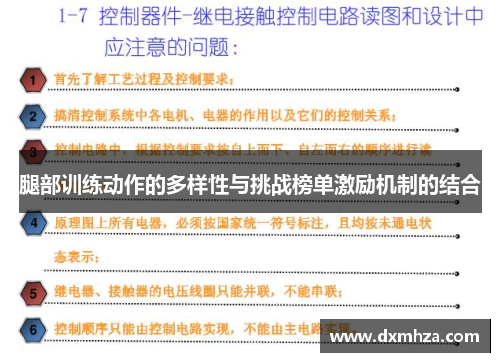 腿部训练动作的多样性与挑战榜单激励机制的结合